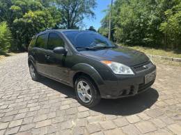 FORD - FIESTA - 2009/2010 - Cinza - R$ 29.900,00